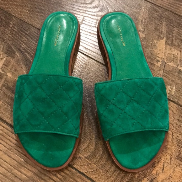 Ann Taylor Shoes - Ann Taylor Green Suede Slides
